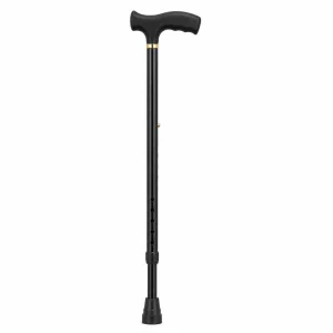 Cane