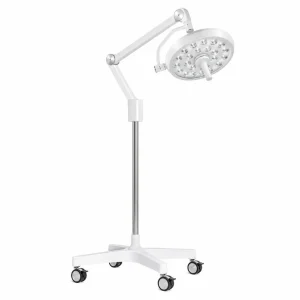 Examination Light