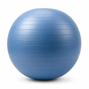 Physio Ball